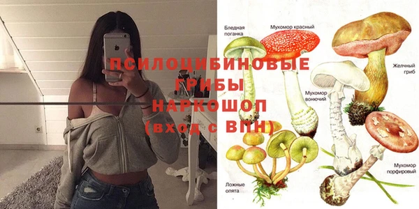 гашишное масло Аркадак