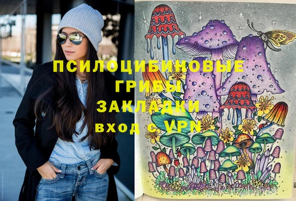 бошки Алексин